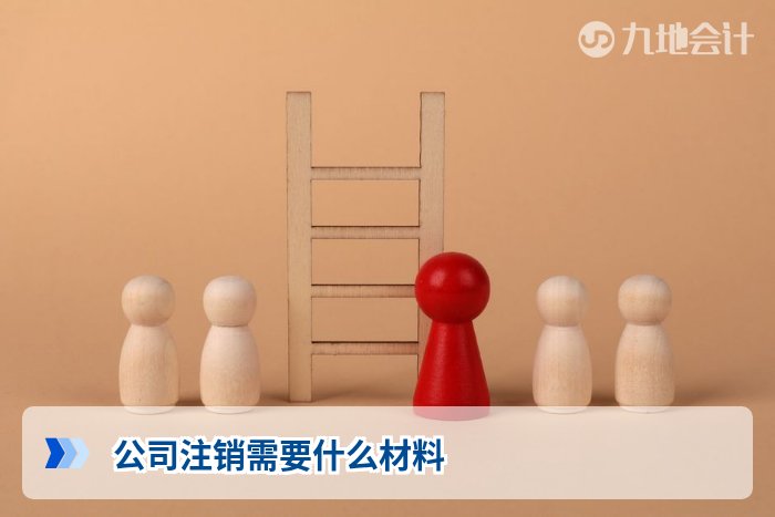 公司注销需要什么材料