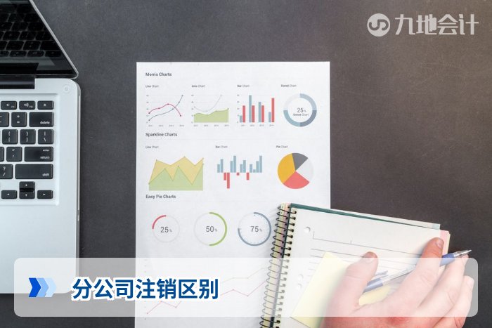 分公司注销区别