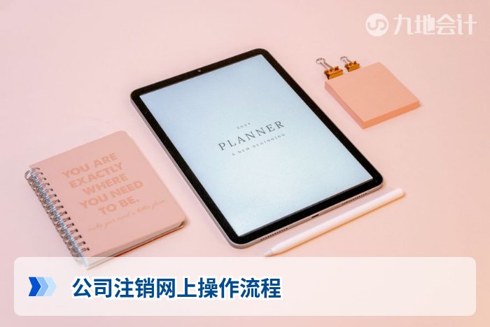 公司注销网上操作流程