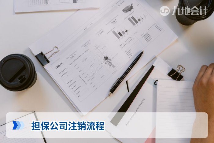 担保公司注销流程