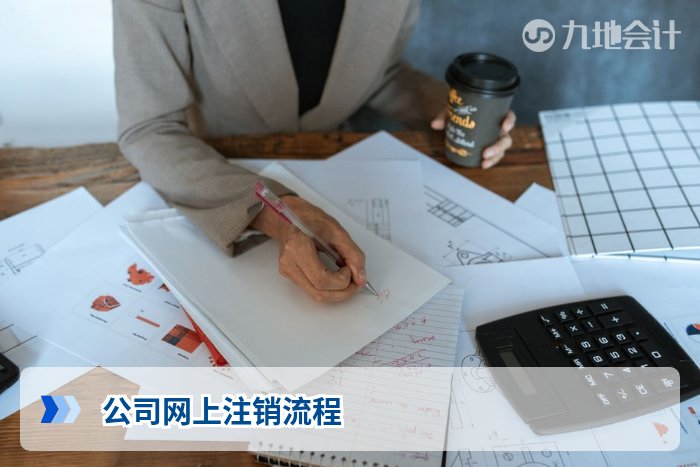 公司网上注销流程