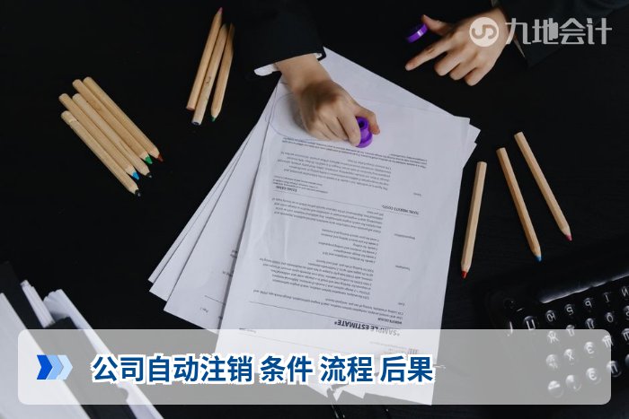 公司自动注销 条件 流程 后果