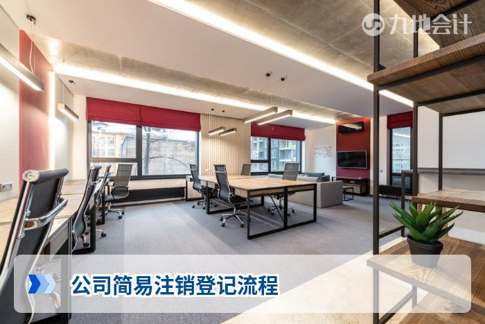 公司简易注销登记流程
