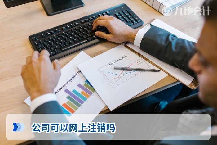 公司可以网上注销吗