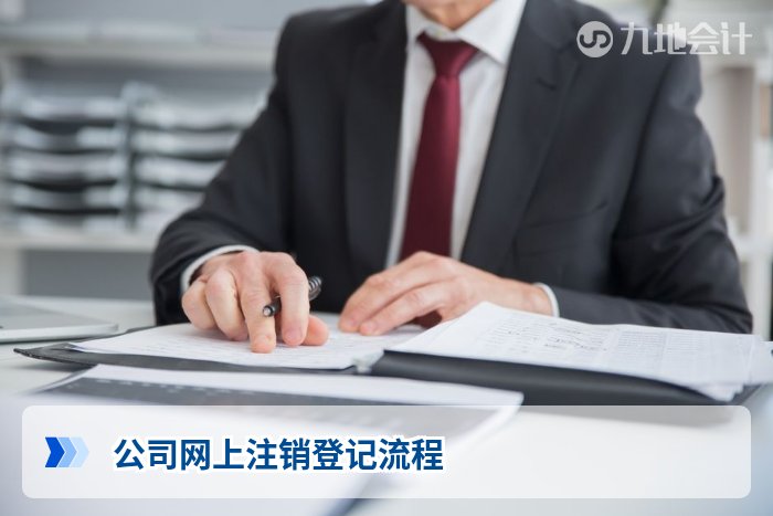公司网上注销登记流程