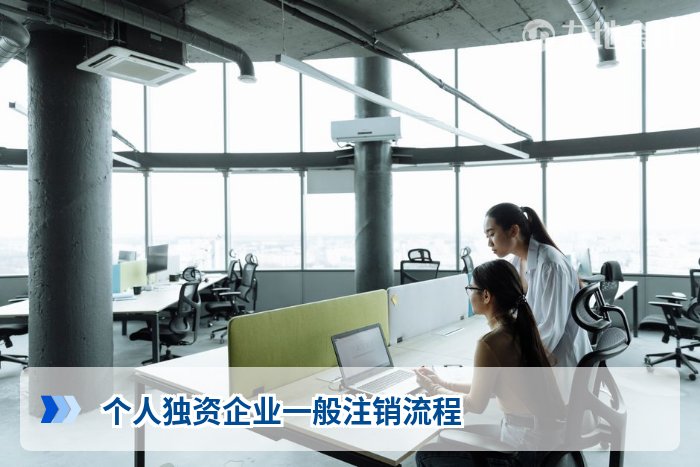 个人独资企业一般注销流程