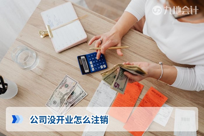 公司没开业怎么注销